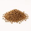 Bio Koriander mag egész 30 gr