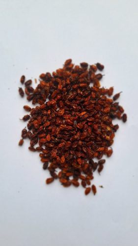 Bio Homoktövis bogyó aszalvány